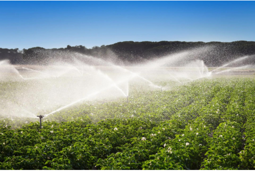 Spray Irrigation System