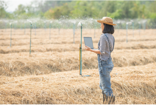 Drip Efficiency in India