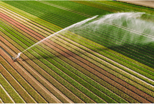 Reducing Water Waste in Agriculture Using Sprinkler Irrigation