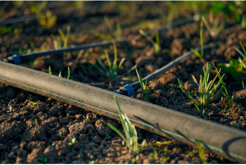 Fertilizer Waste Through Proper Venturi Installation