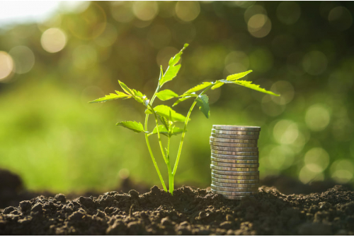 Reduce Irrigation Costs