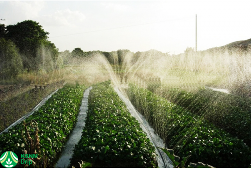 Rain Hose Irrigation